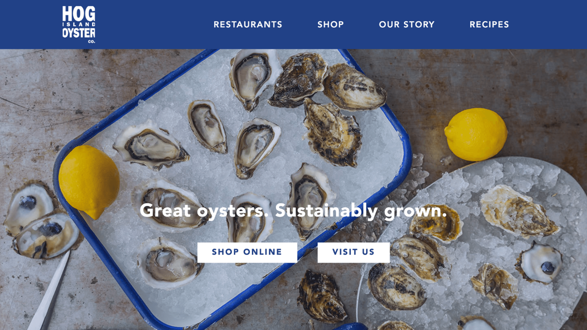 Hog Island Oysters